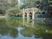 Lake at Lodi Garden