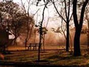Sun Rise Scene