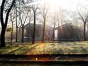 Sun Rise Scene