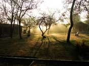 Sun Rise Scene