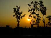 Sun Set Scene