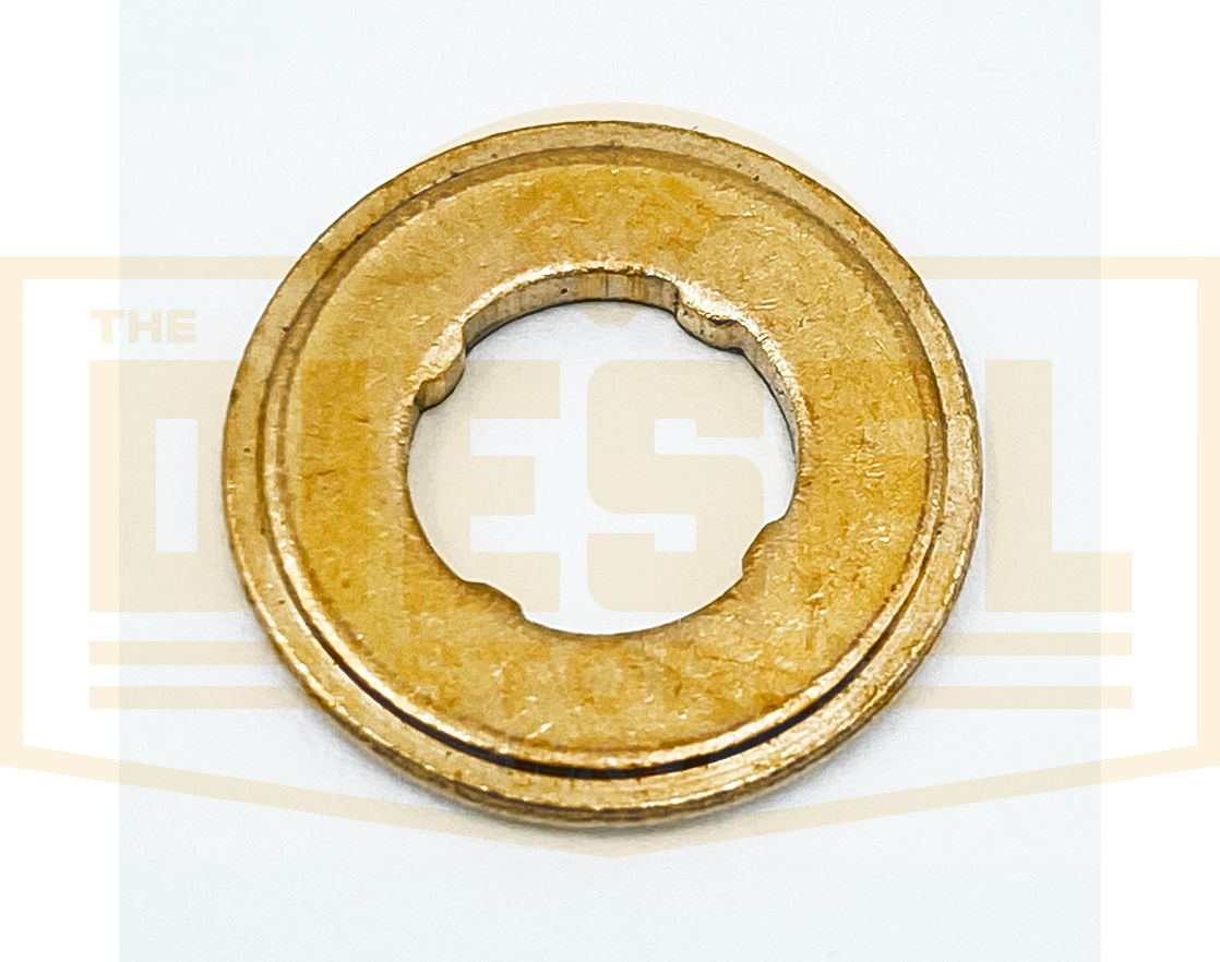 INJECTOR WASHER - 2013/2012/2.9/3.6 MEMO