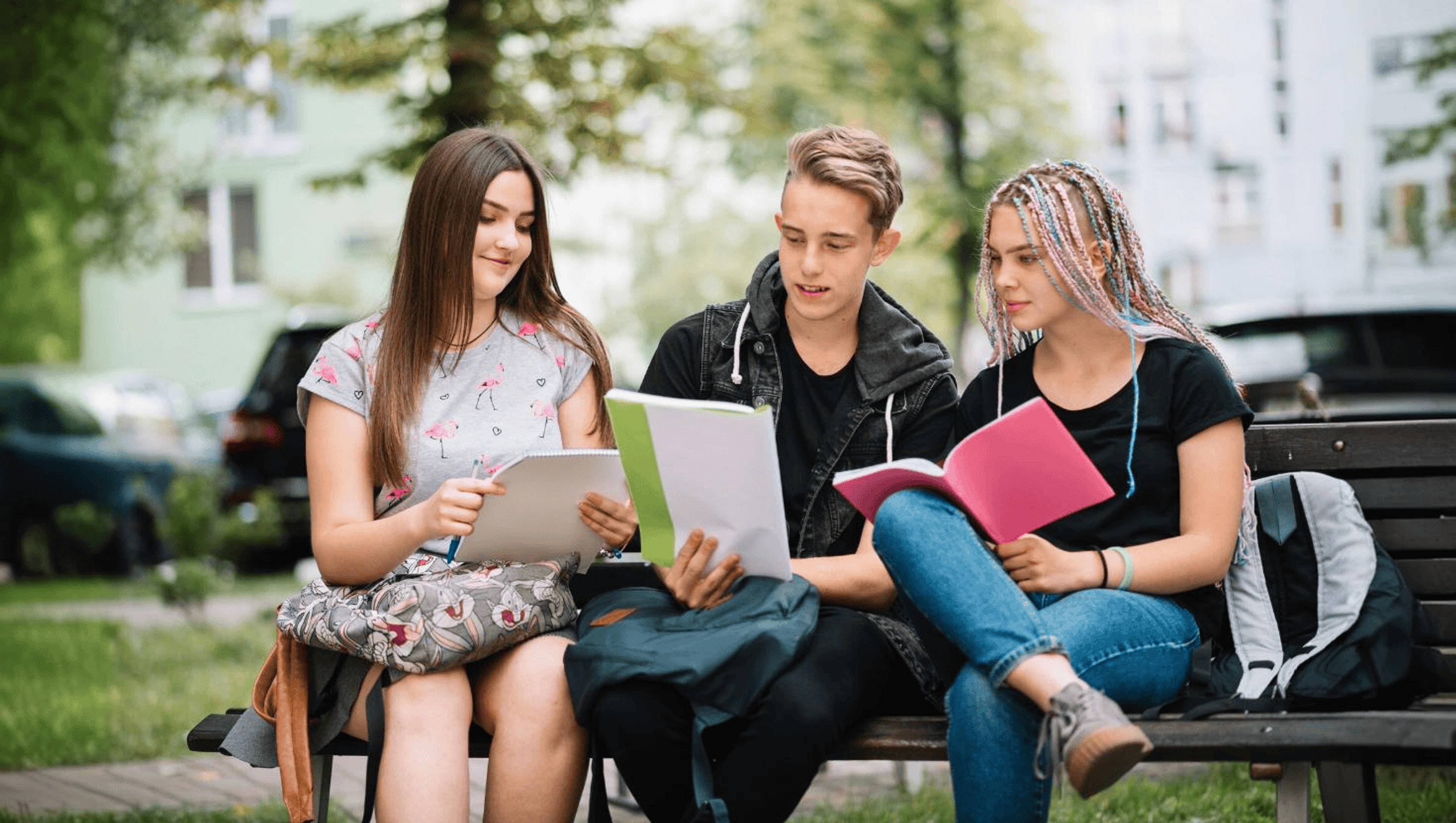 تحصیلات در هلند