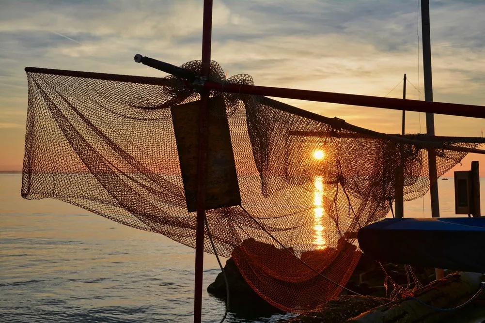 Silhouetted fishing nets draped over poles at sunset along a calm harbor, reflecting golden water.