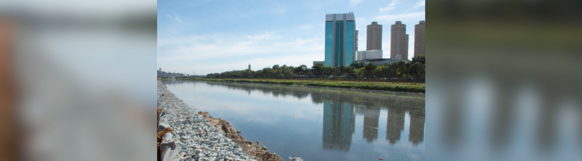 Novo Pinheiros: River and environment conditions recovery