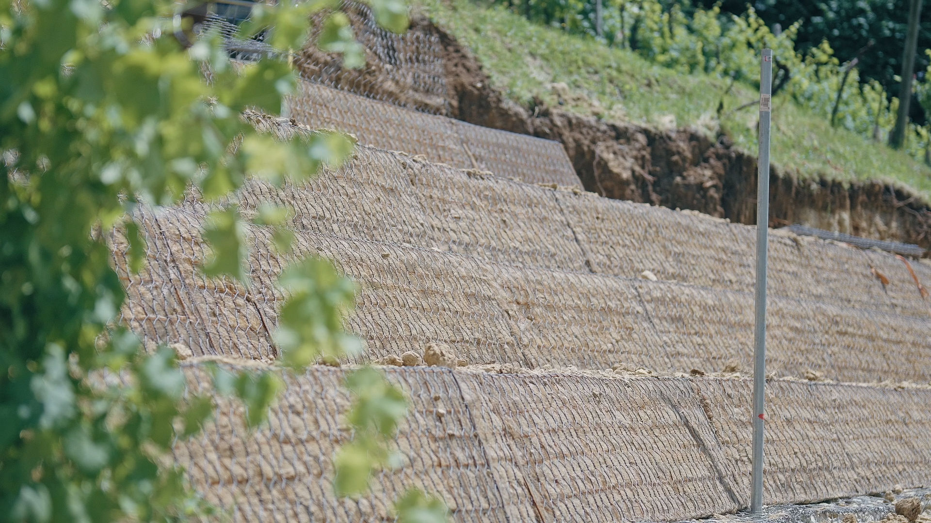 Officine Maccaferri collaborates with the Conegliano Valdobbiadene Prosecco DOCG consortium for the prevention and monitoring of shallow landslides in hillside vineyards