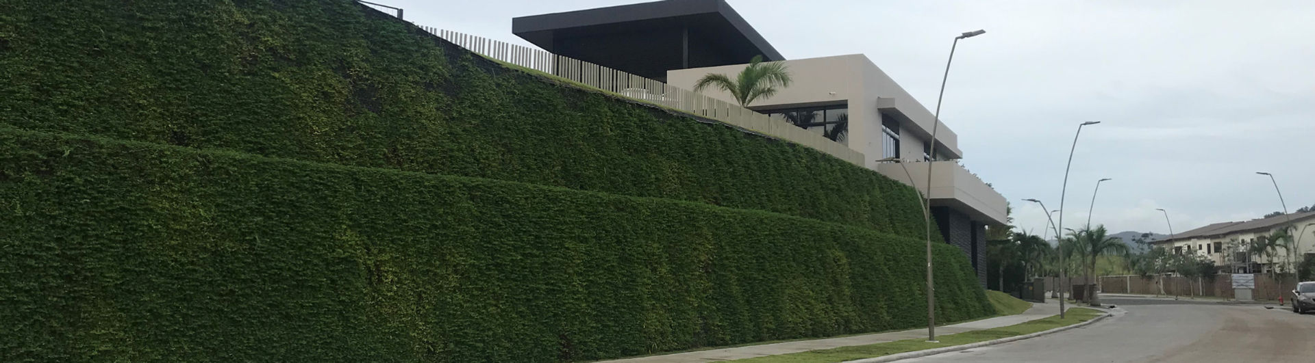 WEBINAR – Transformando la Infraestructura con Muros Verdes Sostenibles