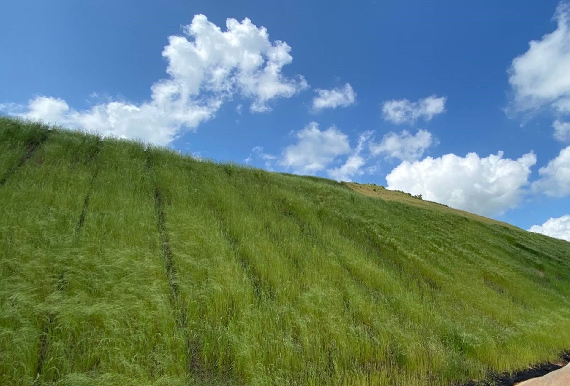 WEBINAR – How to prevent soil erosion while promoting the establishment of vegetation