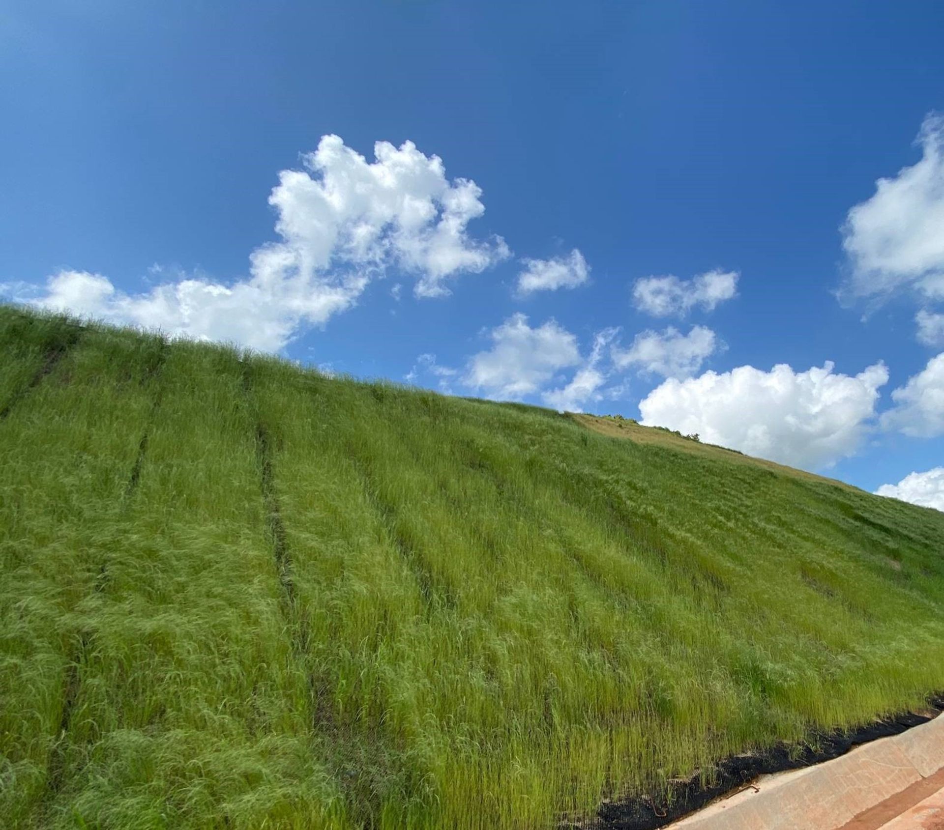 WEBINAR – Cost Effective solutions and Green Reinforced Slopes