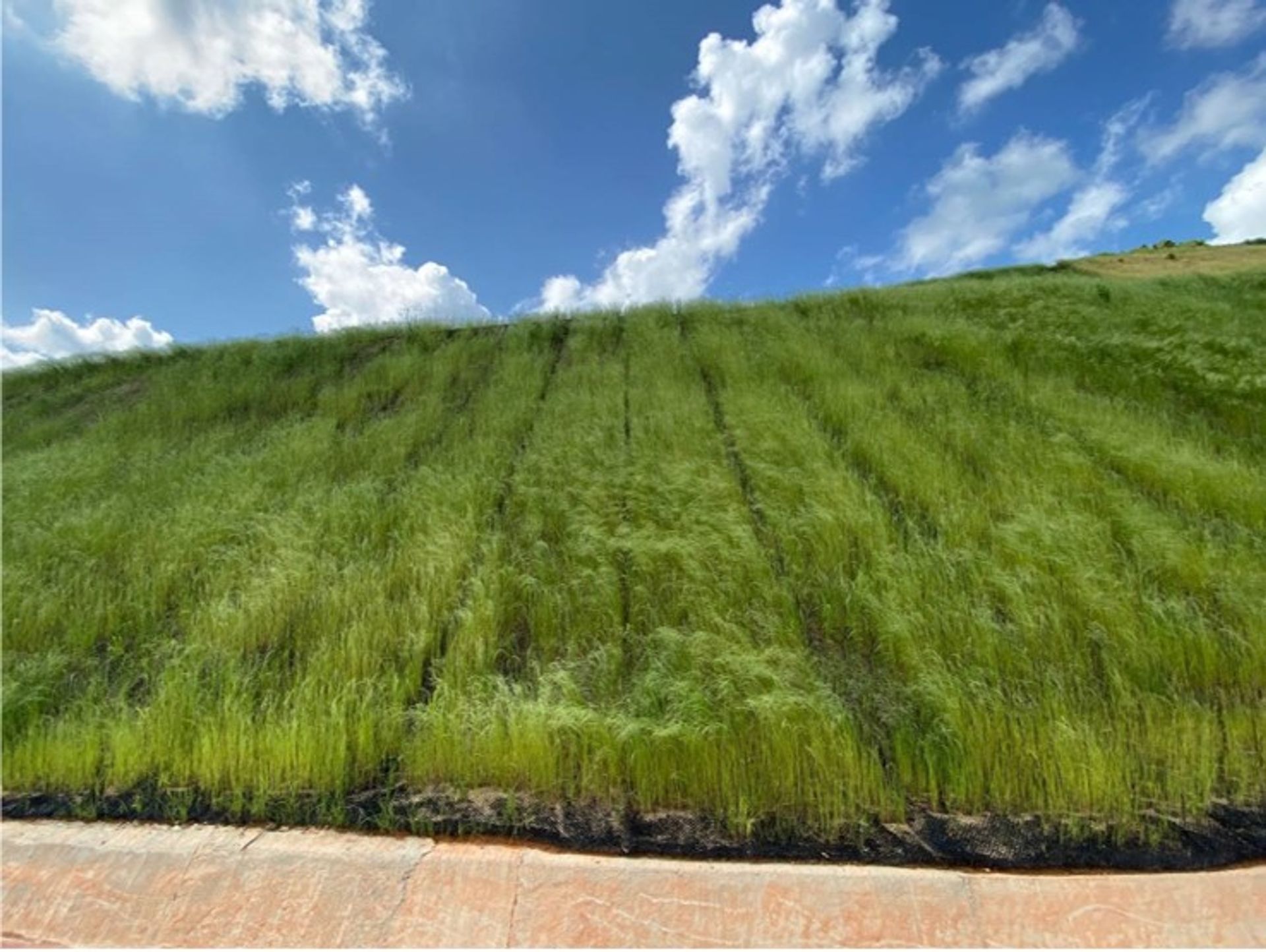 WEBINAR – Ecologically Sound Methods in Mitigating Slope Erosion