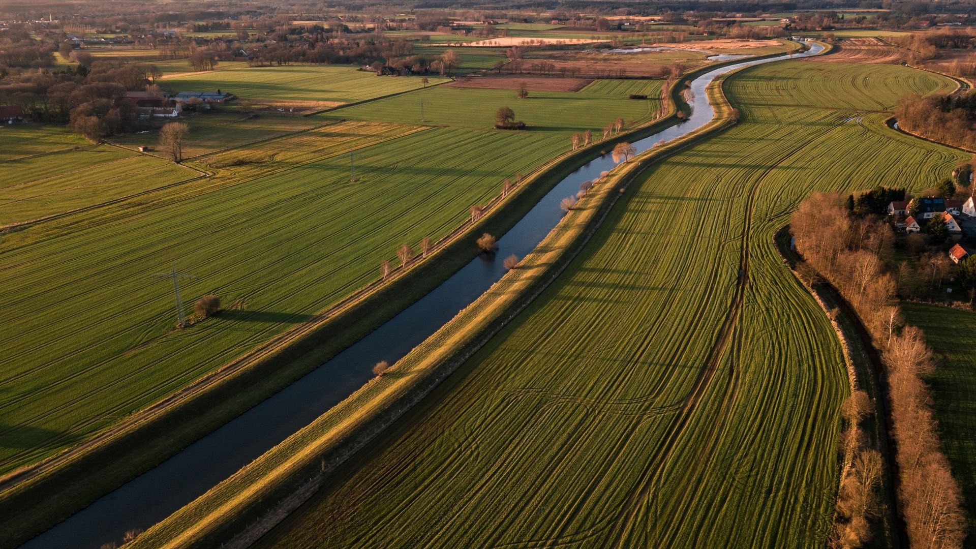 WEBINAR – The design of natural, sound solutions for river bank protection
