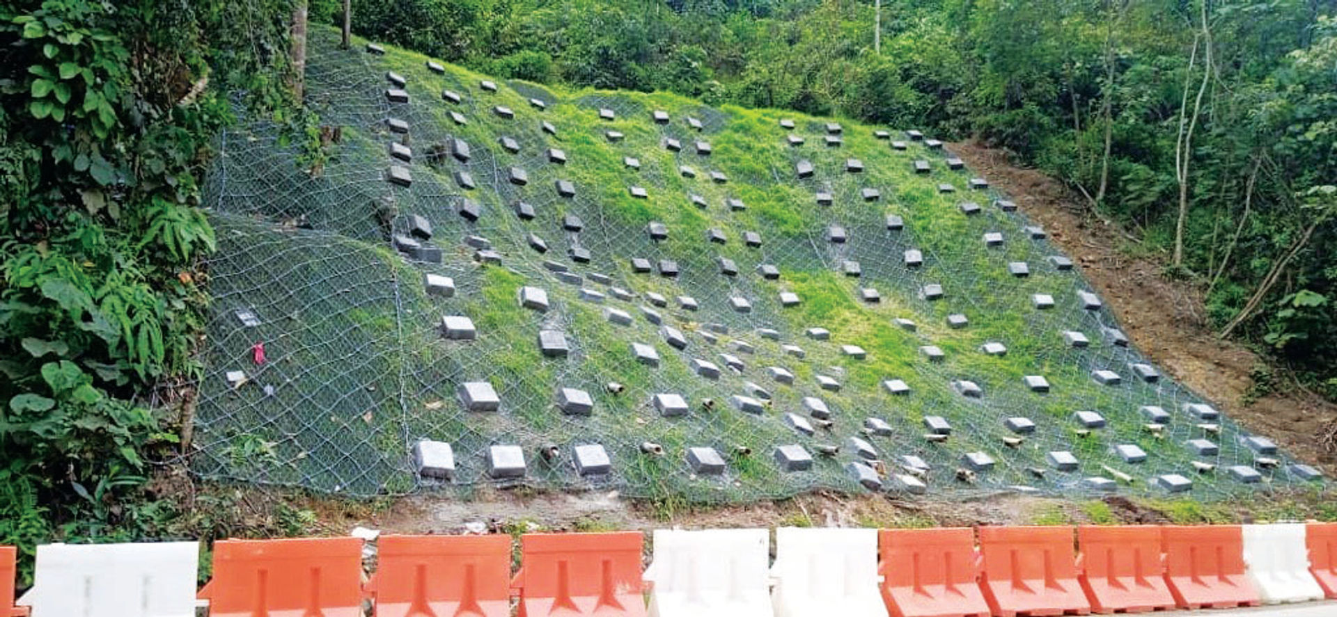Greening Malaysia’s Slopes: A Smarter Alternative to Shotcrete