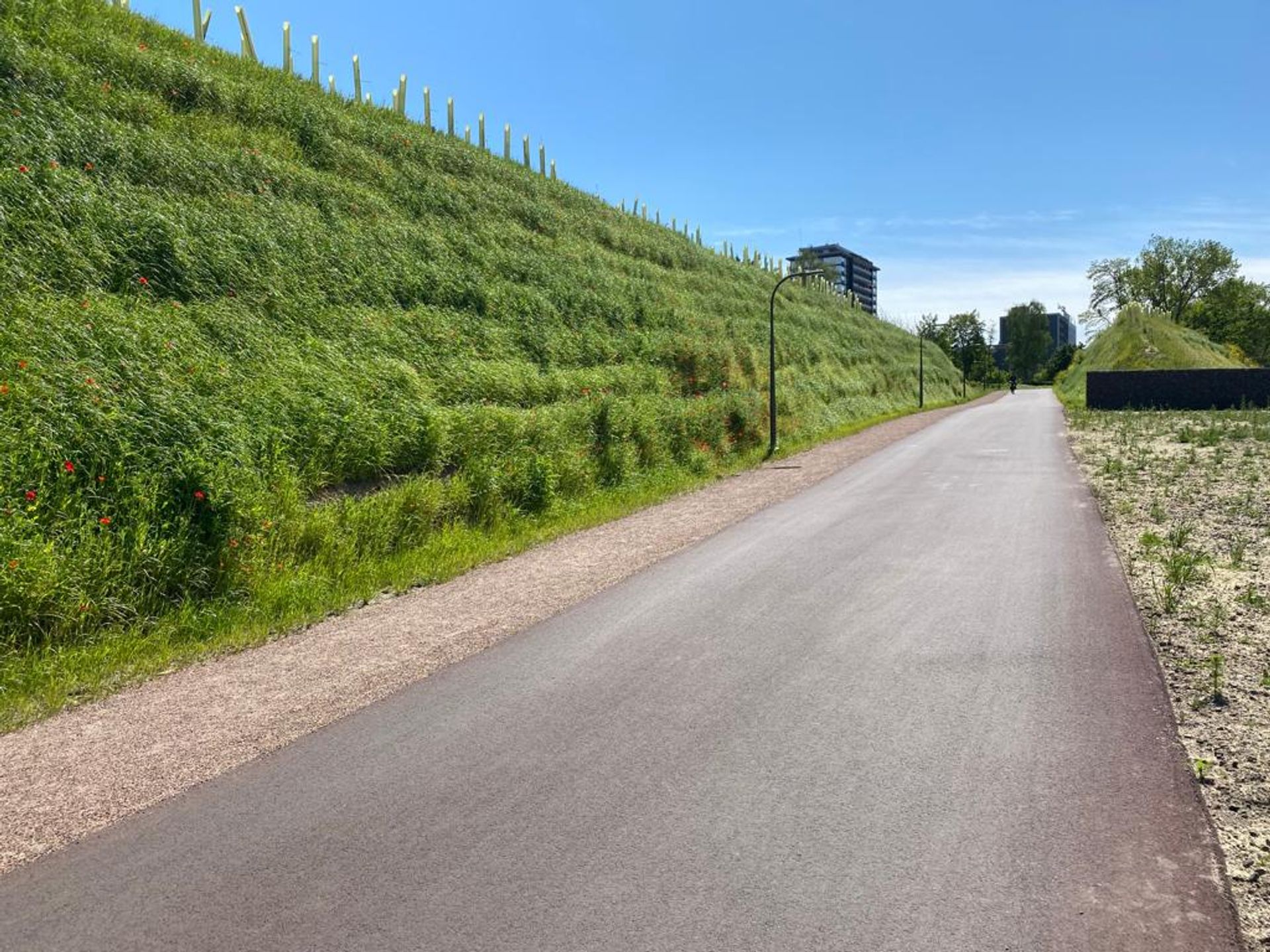 WEBINAR – Soil stabilisation and reinforcement