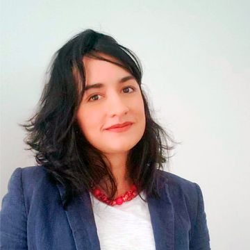 M.Sc. Eng. Andrea B. Pelizoni