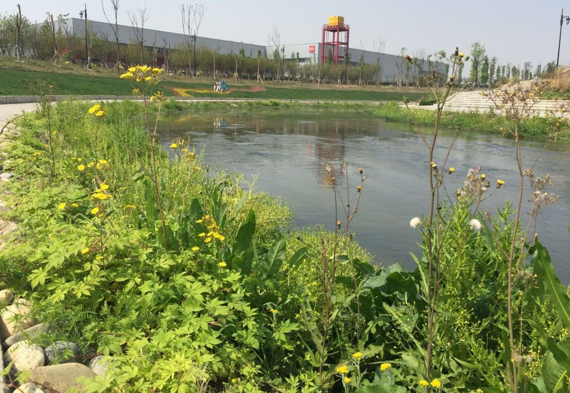 青白江绣川河综合整治工程