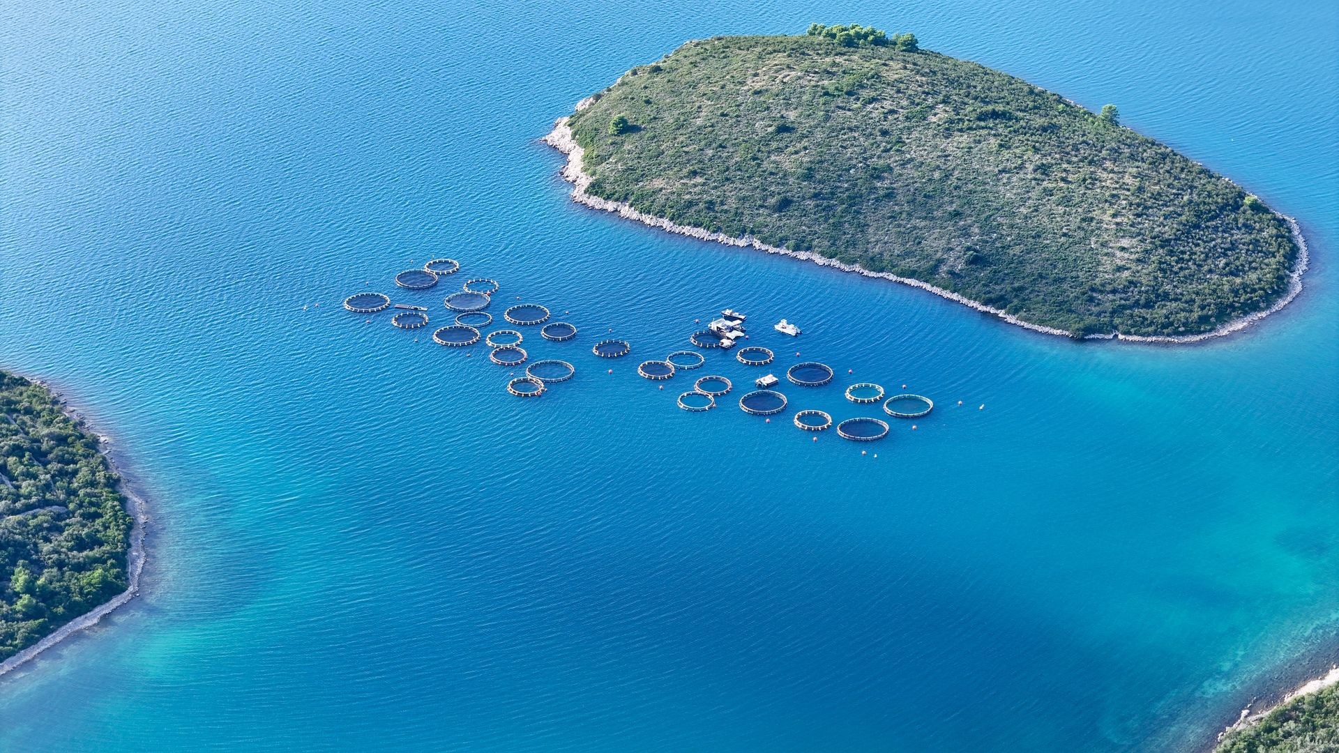 Aquaculture Nets / Cages