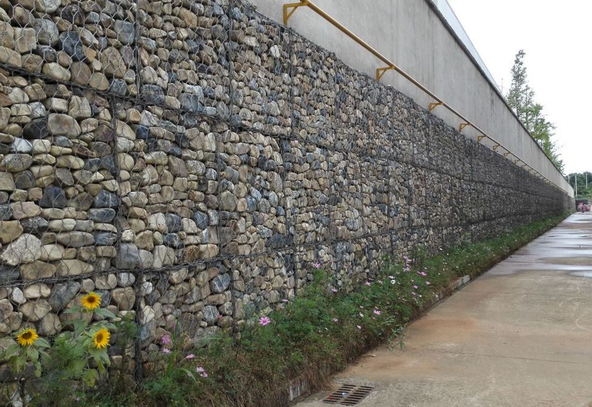 马克菲尔中国生产基地工程