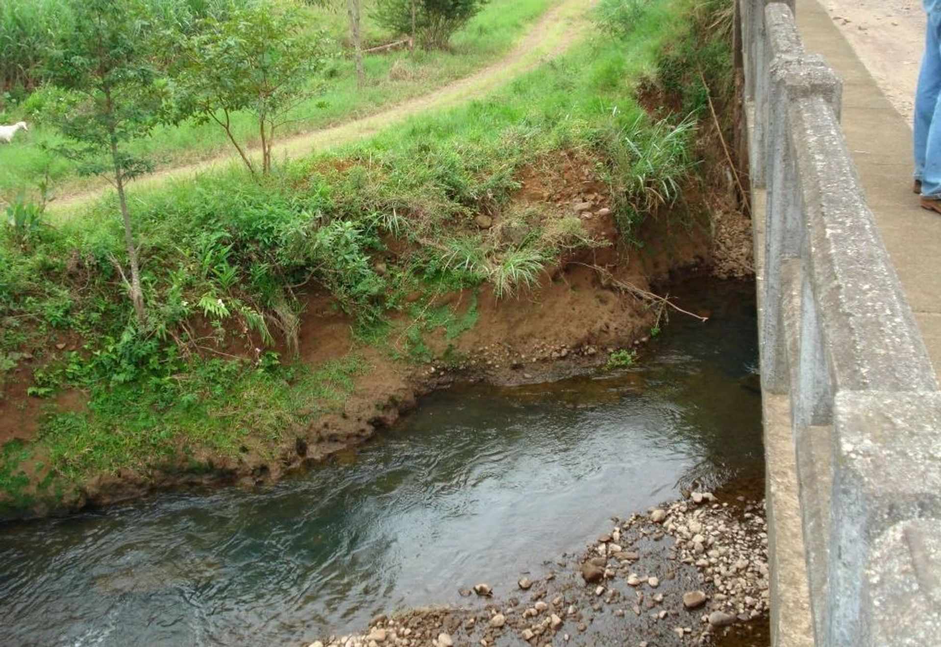 PROTECCIÓN DE MÁRGEN - PUENTE SOBRE RÍO MACACO