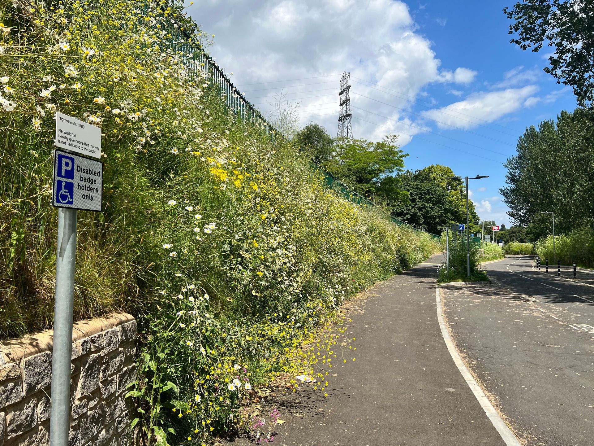 Marsh Barton Railway Station  Vegetated Slope Stabilisation Solution