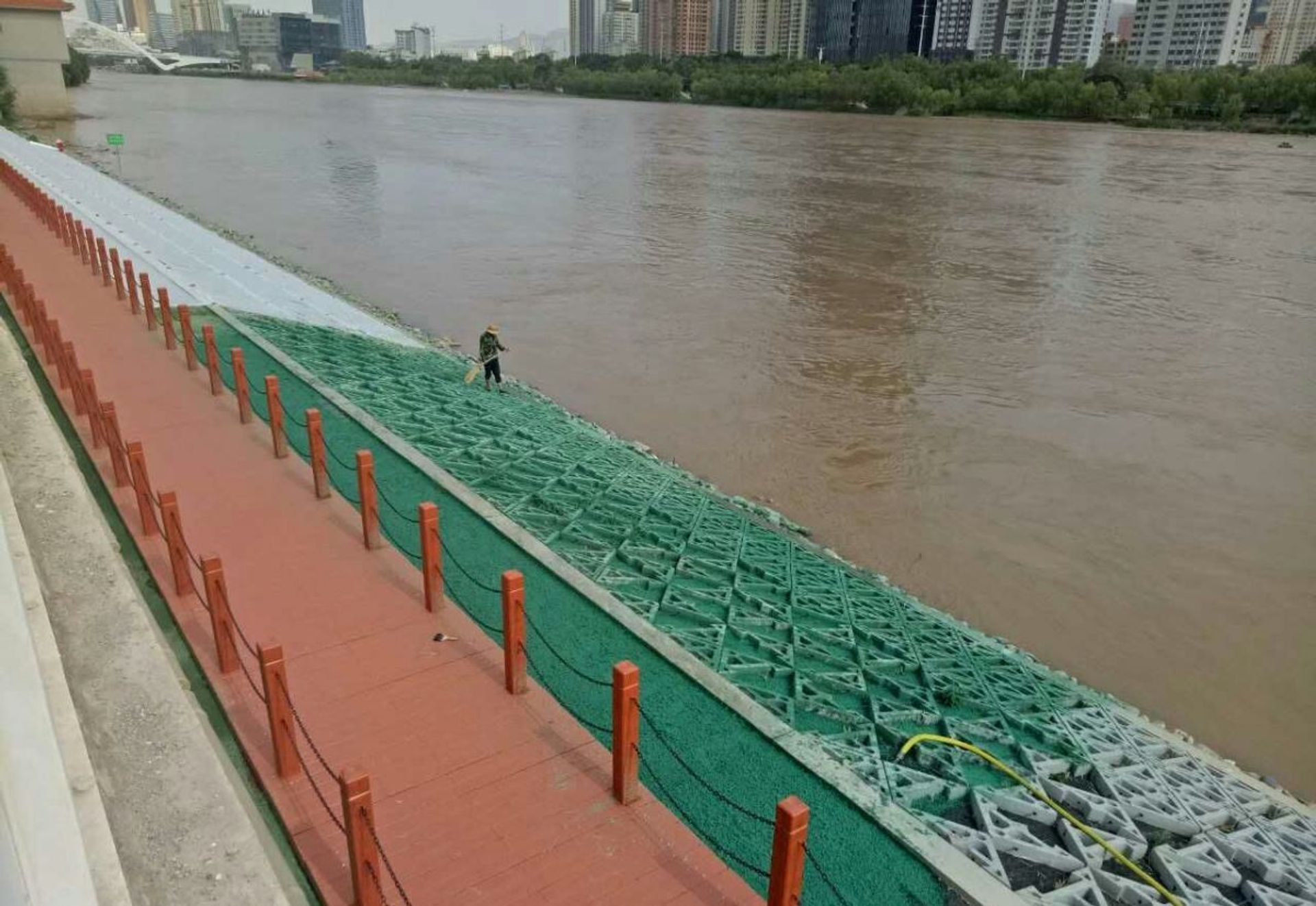 武汉市江北快速通道景观绿化工程