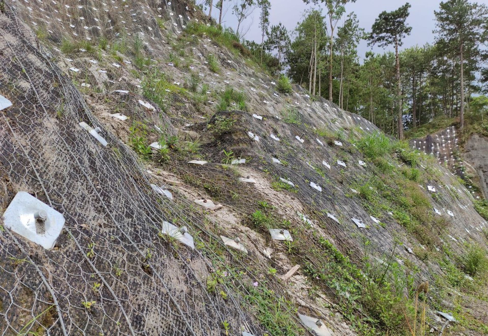 BUSOL WATERSHED