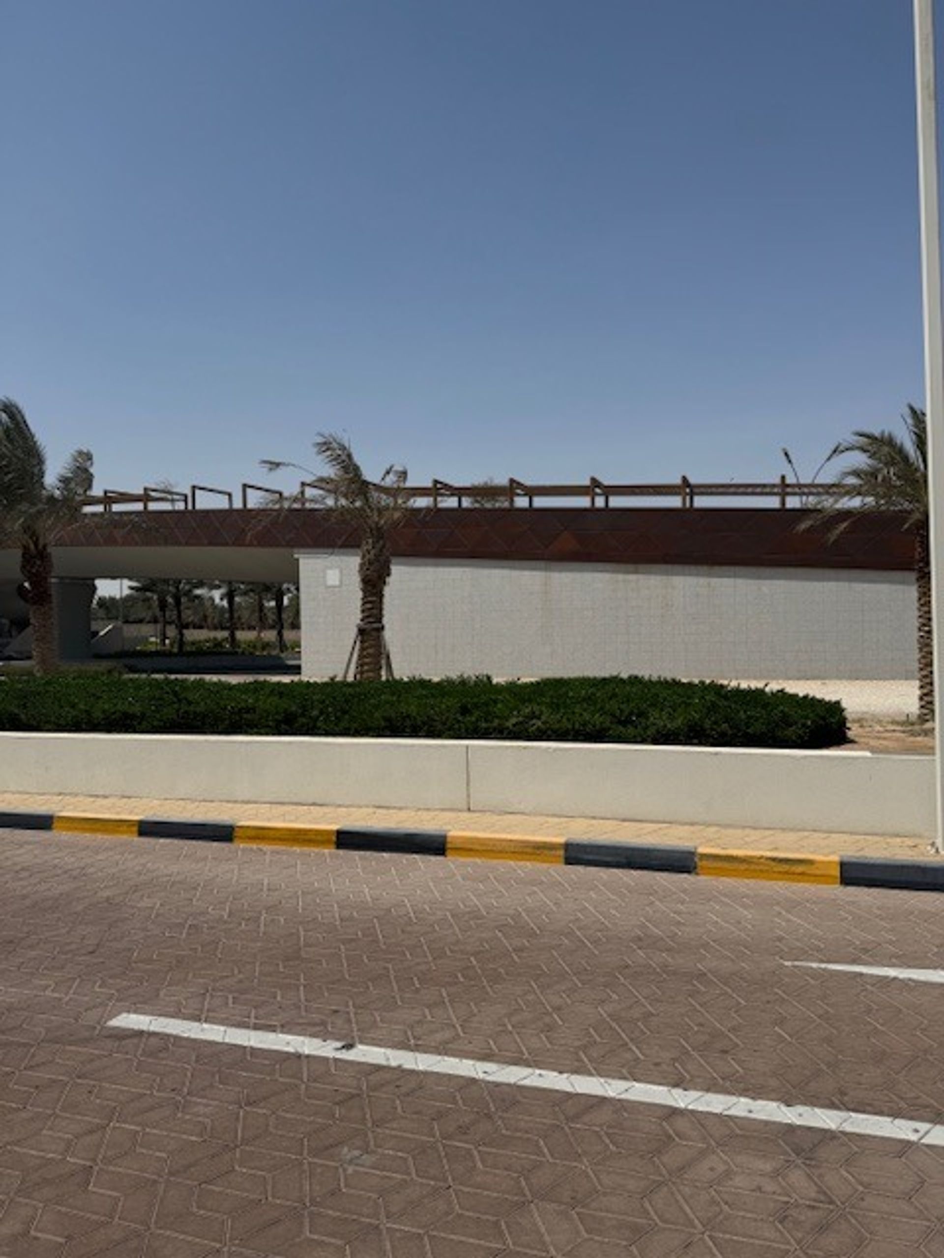Camel Bridge 