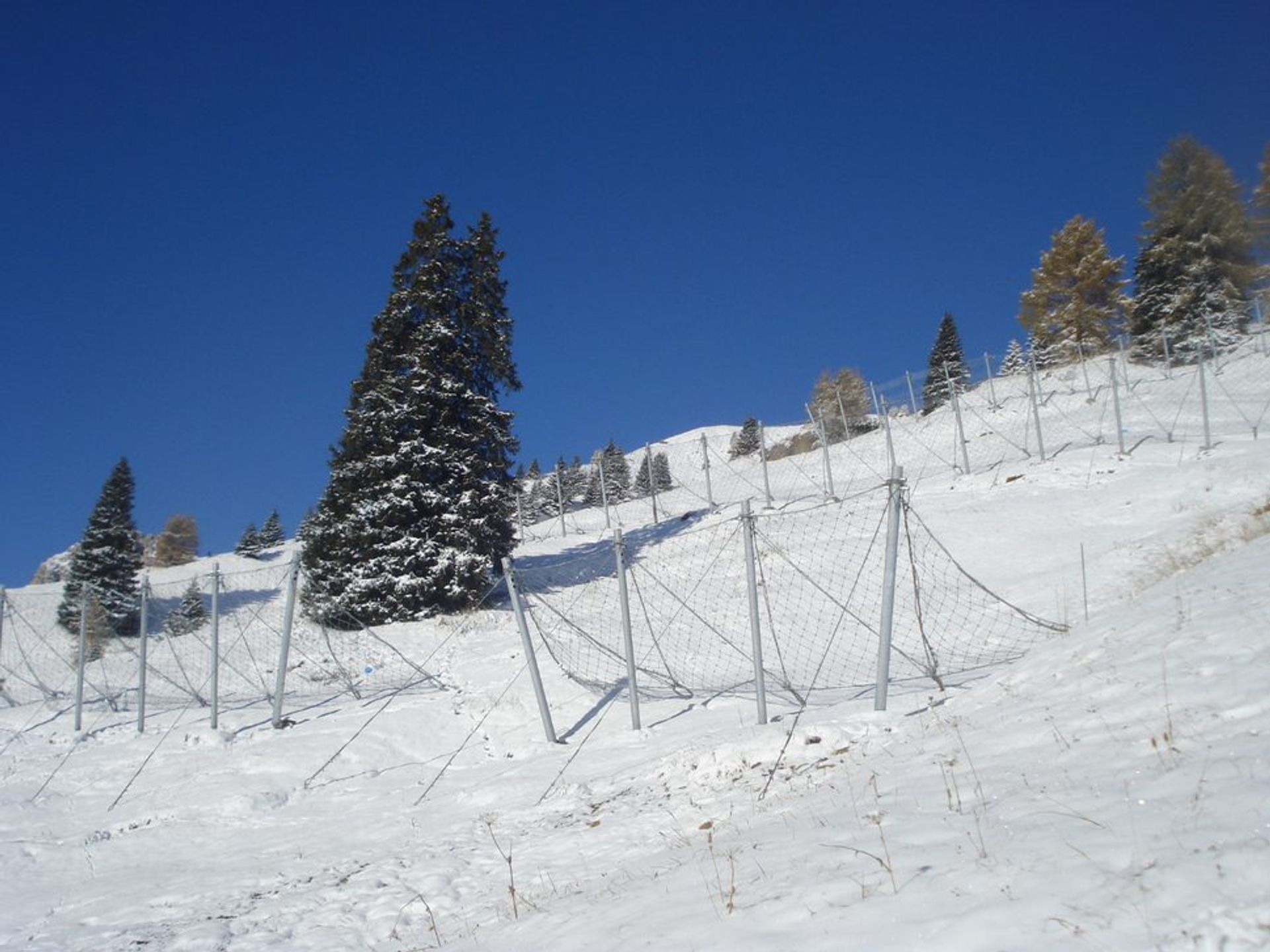 Snow Fencing
