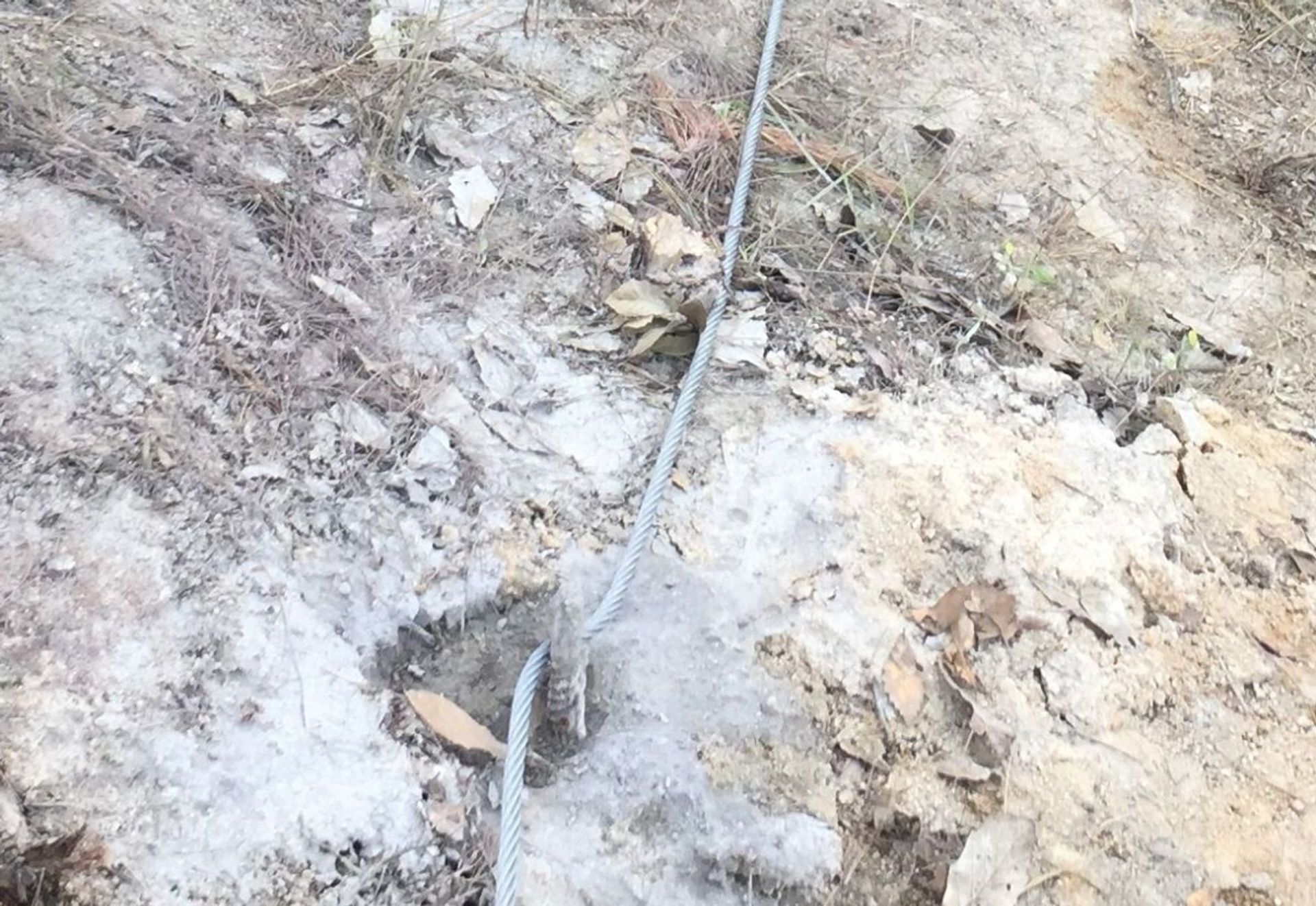 中兰客专甘肃段主动防护网项目