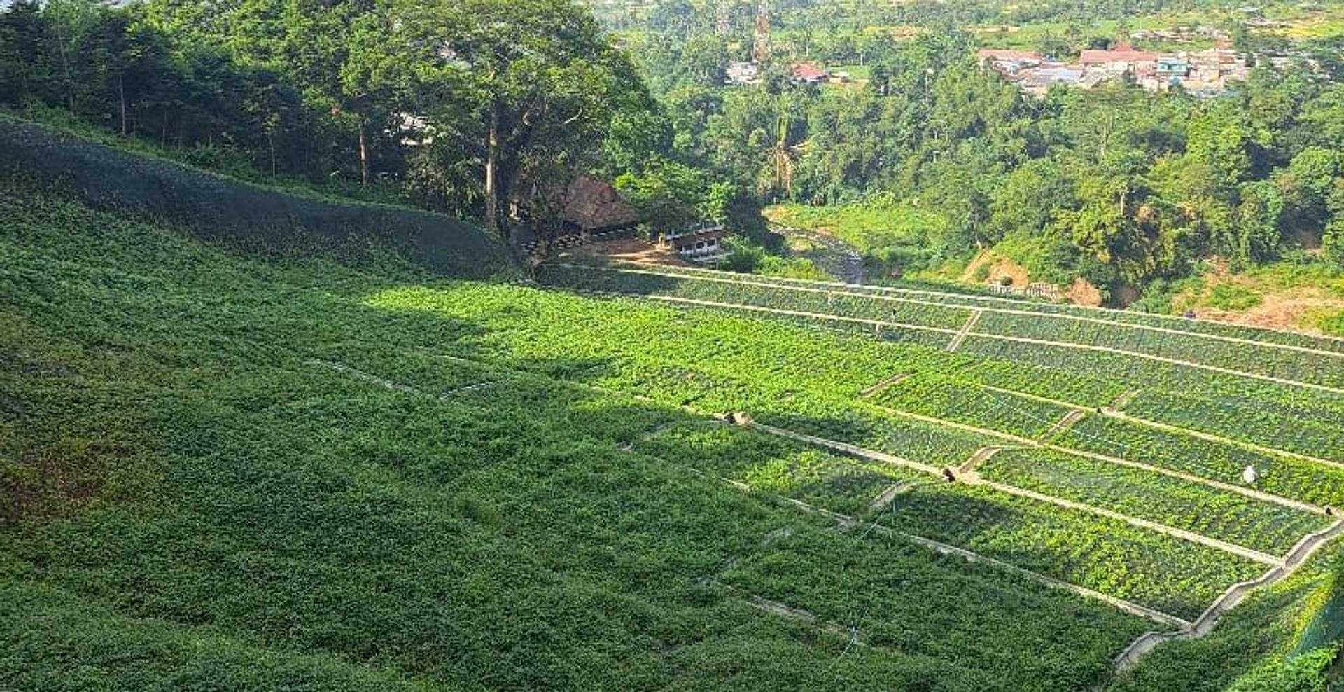 COMBINATION OF MSE WALL & EROSION CONTROL FOR LANDSLIDE MANAGEMENT