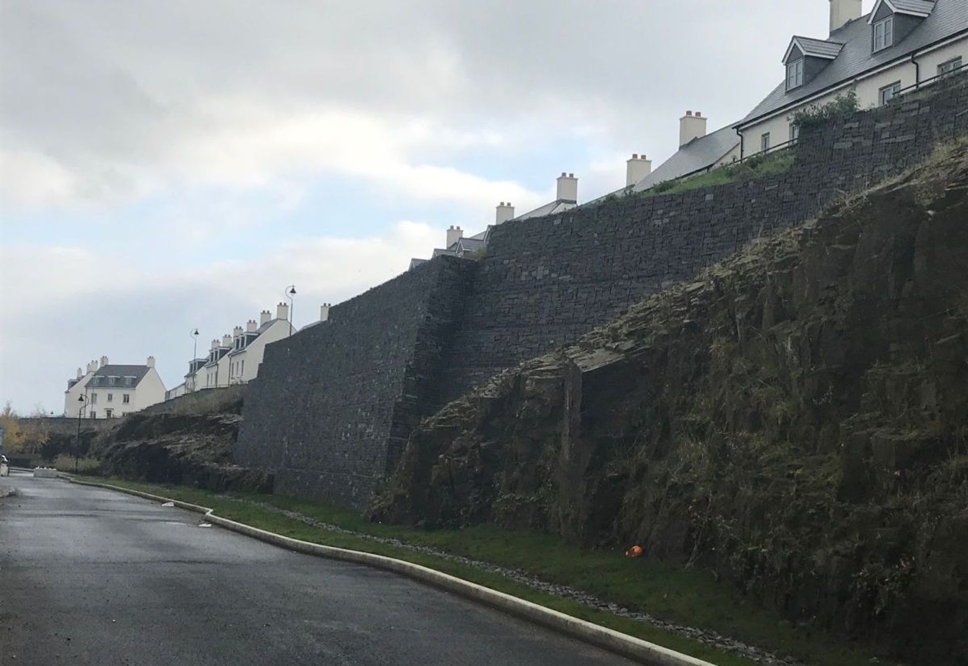 Coed Darcy Regeneration Project, South Wales