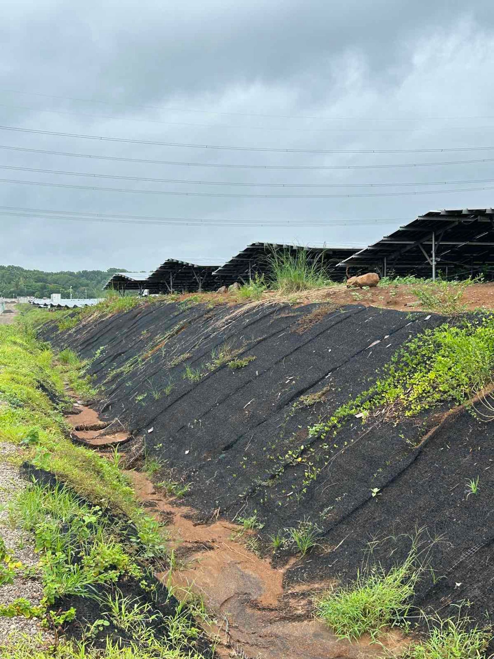 Erosion Control at West Samal Solar Power Plant