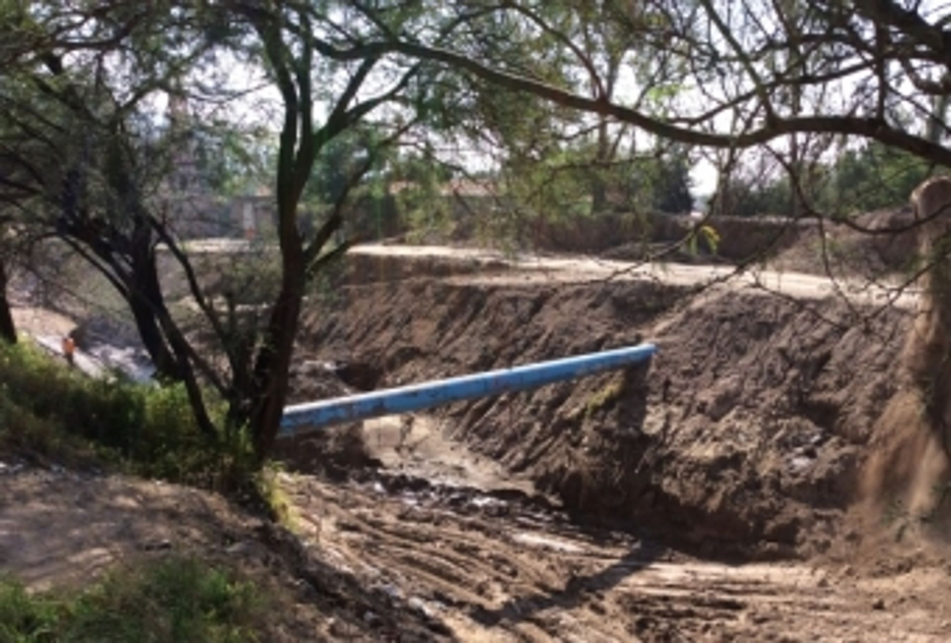PARQUE LINEAL SARDANETA