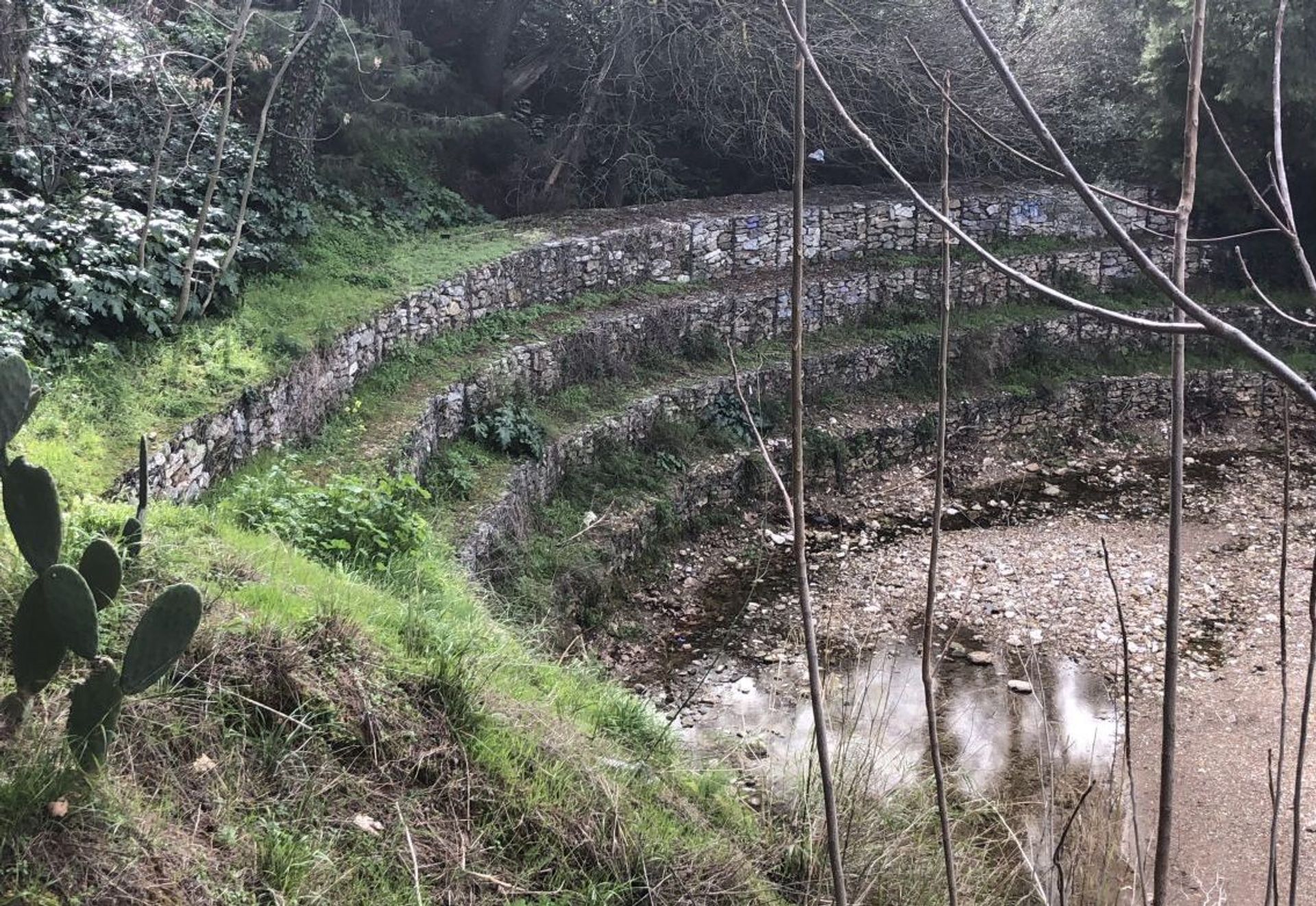 ΑΠΟΚΑΤΑΣΤΑΣΗ ΣΥΡΜΑΤΟΚΙΒΩΤΙΩΝ ΣΕ ΡΕΜΑΤΑ ΤΗΣ ΑΤΤΙΚΗΣ