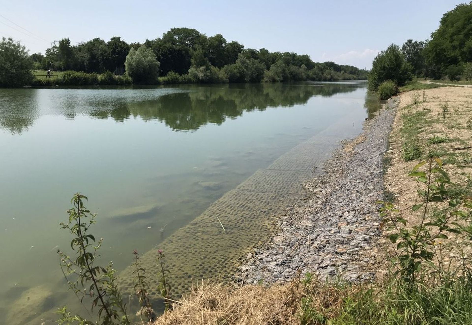 PROTECTION DES BERGES DU BIEF DE NIFFER : 2019-2021
