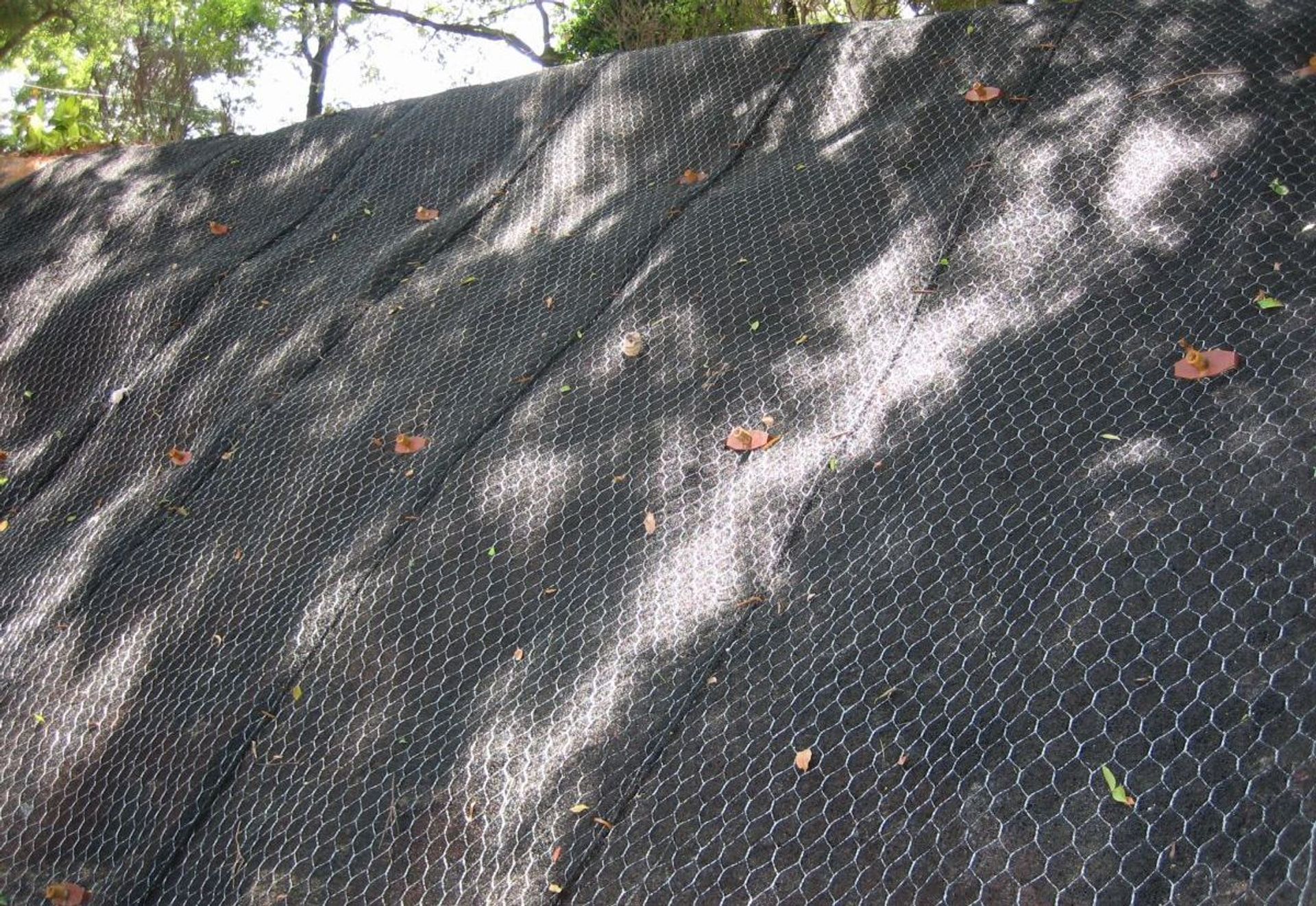 福建文博中学边坡生态护坡