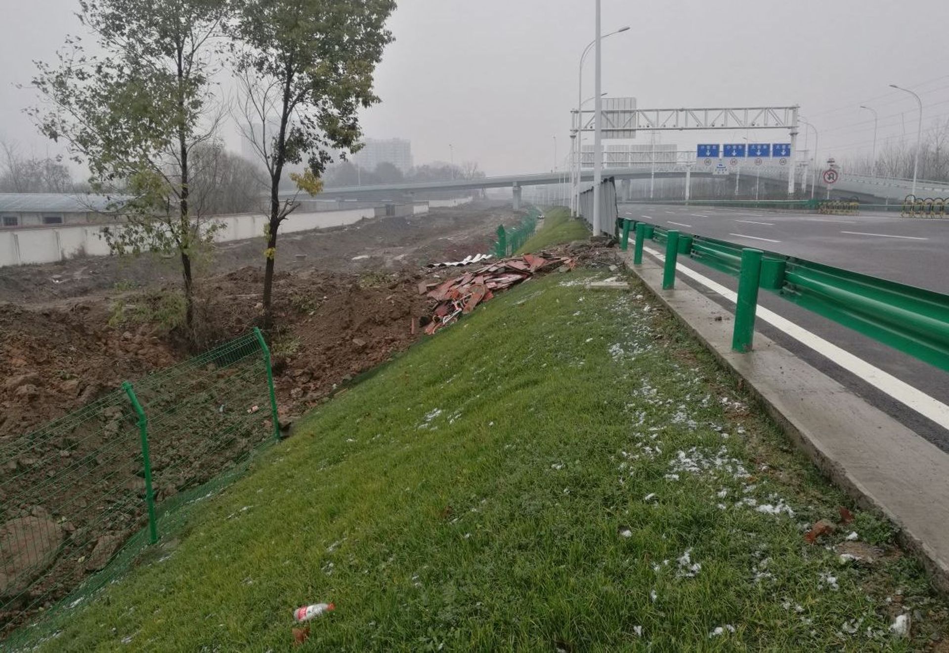 湖北省武汉市长江主轴左岸复绿工程