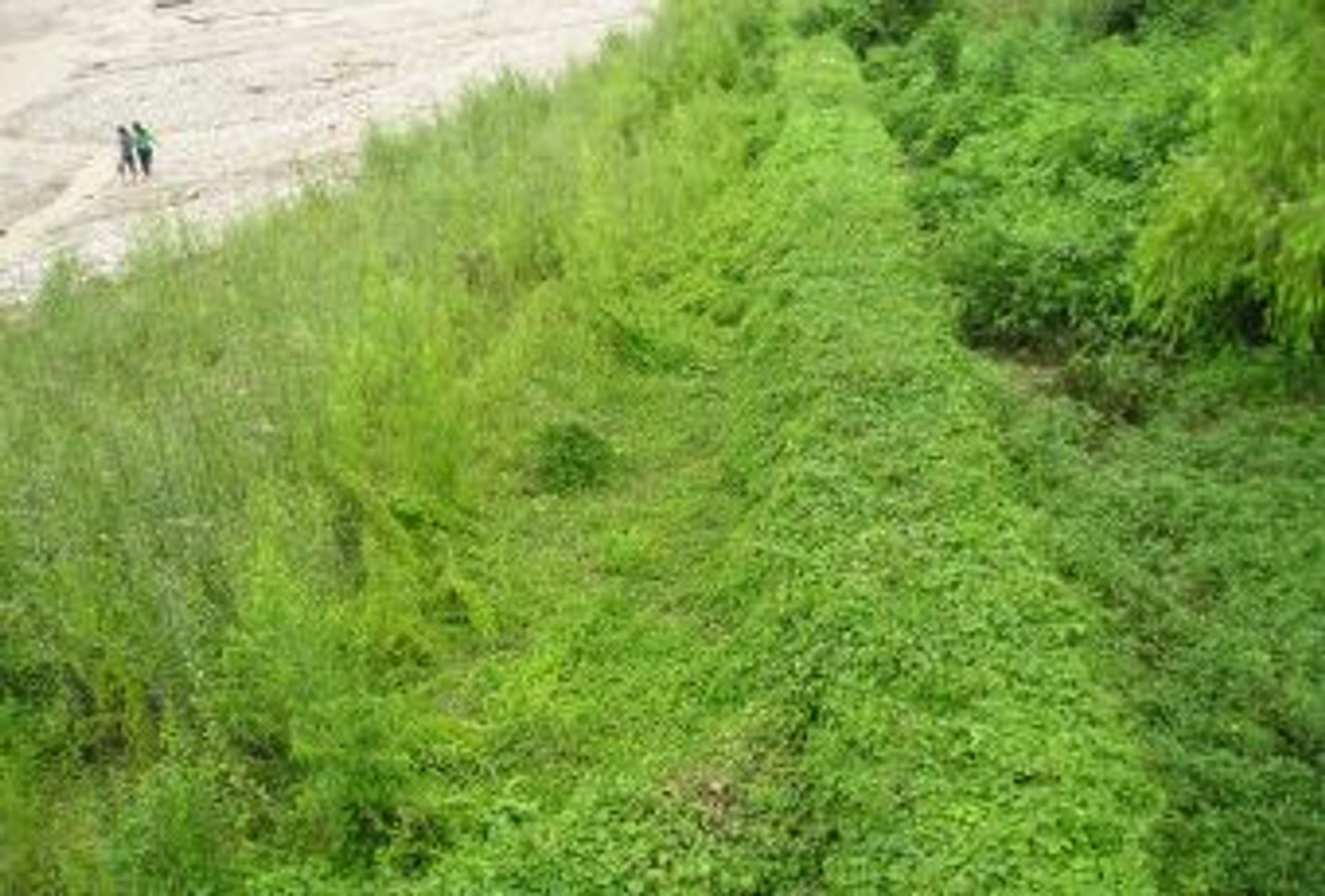 RIO CHIJRA - PT