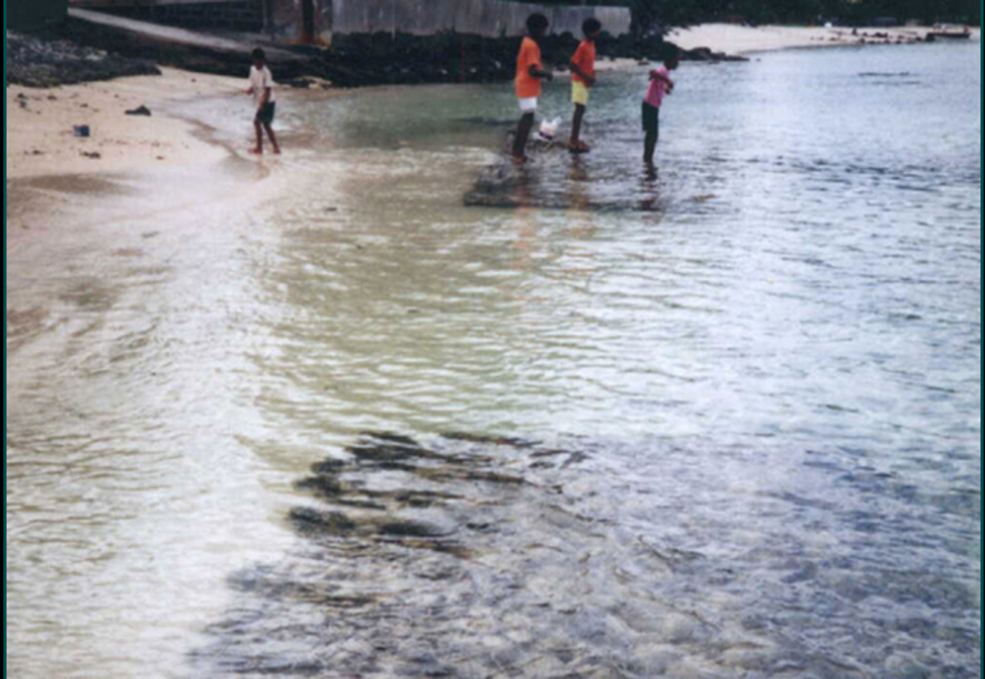 BEACH PROTECTION IN MAURITIUS