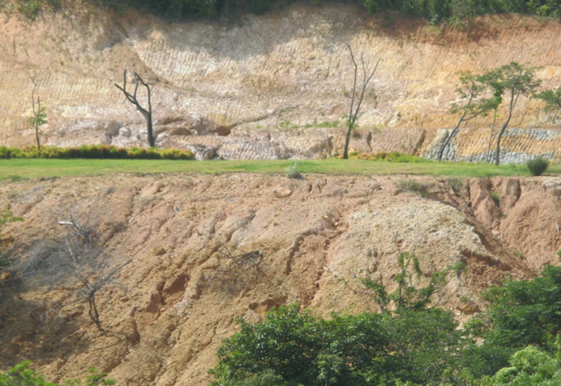 HAMILO COAST