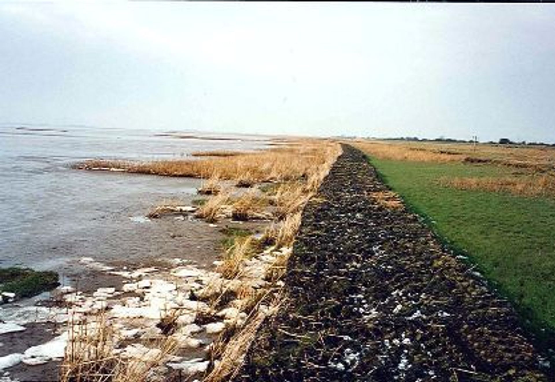 50 YEAR OLD GABION STRUCTURE - RIVER HUMBER