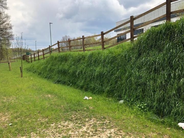  Green Terramesh slope - vegetation established