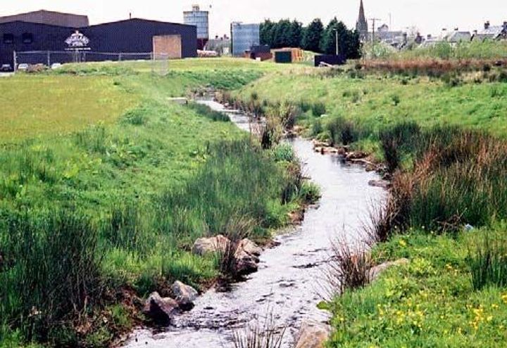2 Years post construction showing 2 stage channel