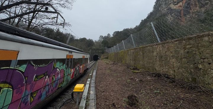 Tren en circulación en su paso por la zona protegida