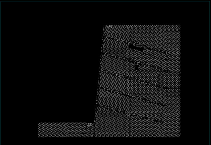 Soil Nail  Cross-section