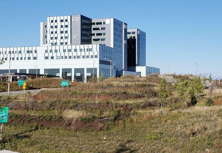 Vegetated Landform