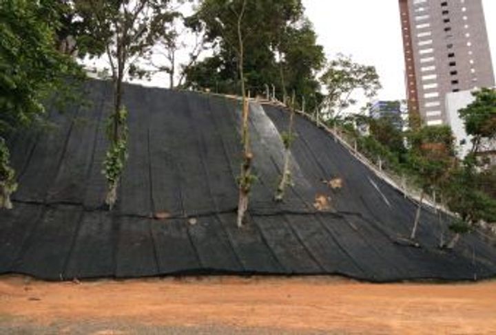 SUELO GRAPADO CON CARA VEGETADA_5