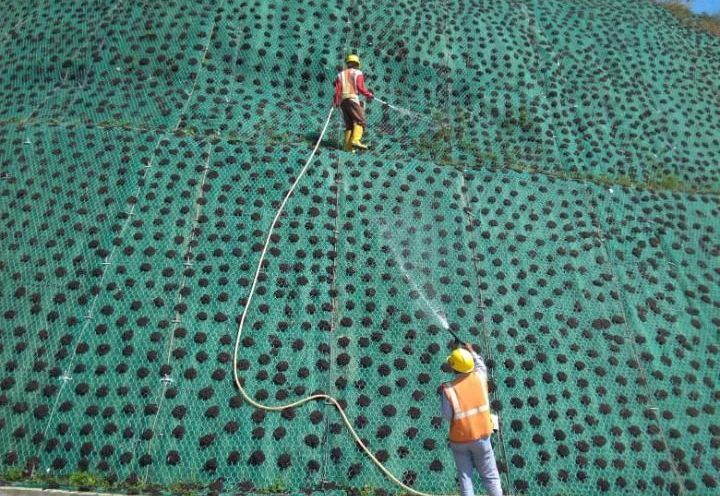 EROSION CONTROL AT PIDEKSO DAM_1