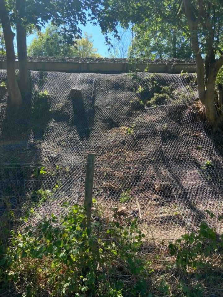 Anti-Burrowing Protection for Rail Embankment