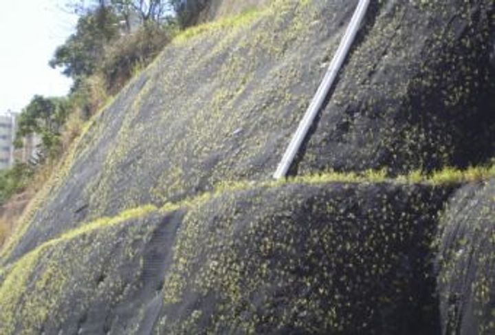 SUELO GRAPADO CLÍNICA SÃO GONÇALO_5