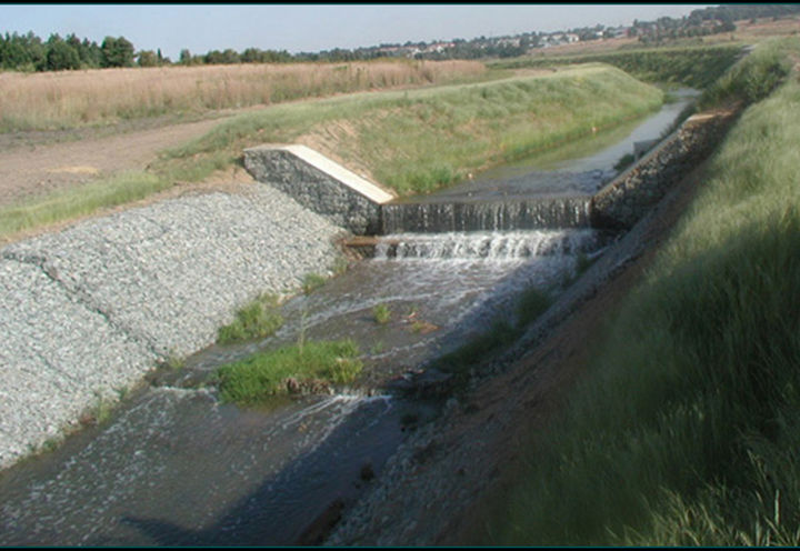 Natural vegetation established a few months after completion